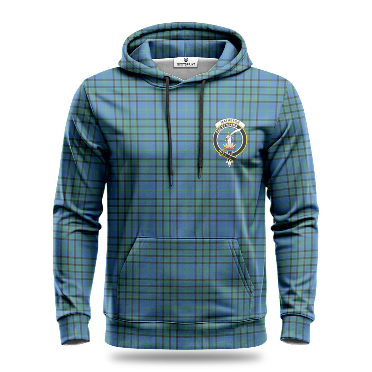 Matheson Hunting Ancient Tartan Crest Hoodie