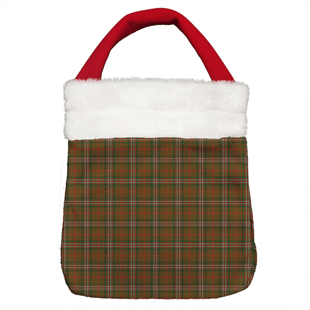 Scott Brown Modern Tartan Christmas Gift Bag