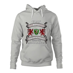 Boyle Family Tartan - 2D Unisex Hoodie