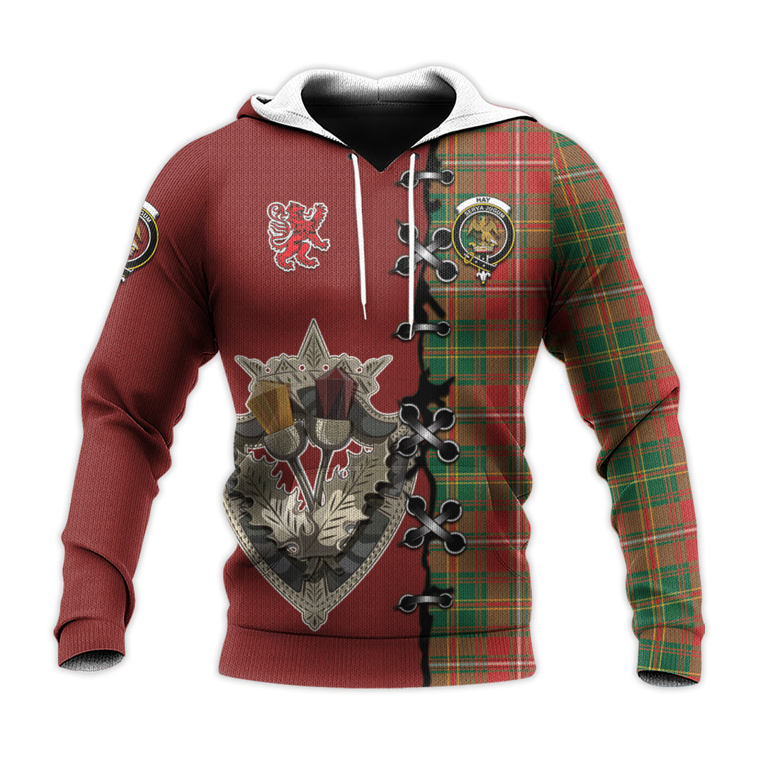 Hay Ancient Tartan Hoodie - Lion Rampant And Celtic Thistle Style